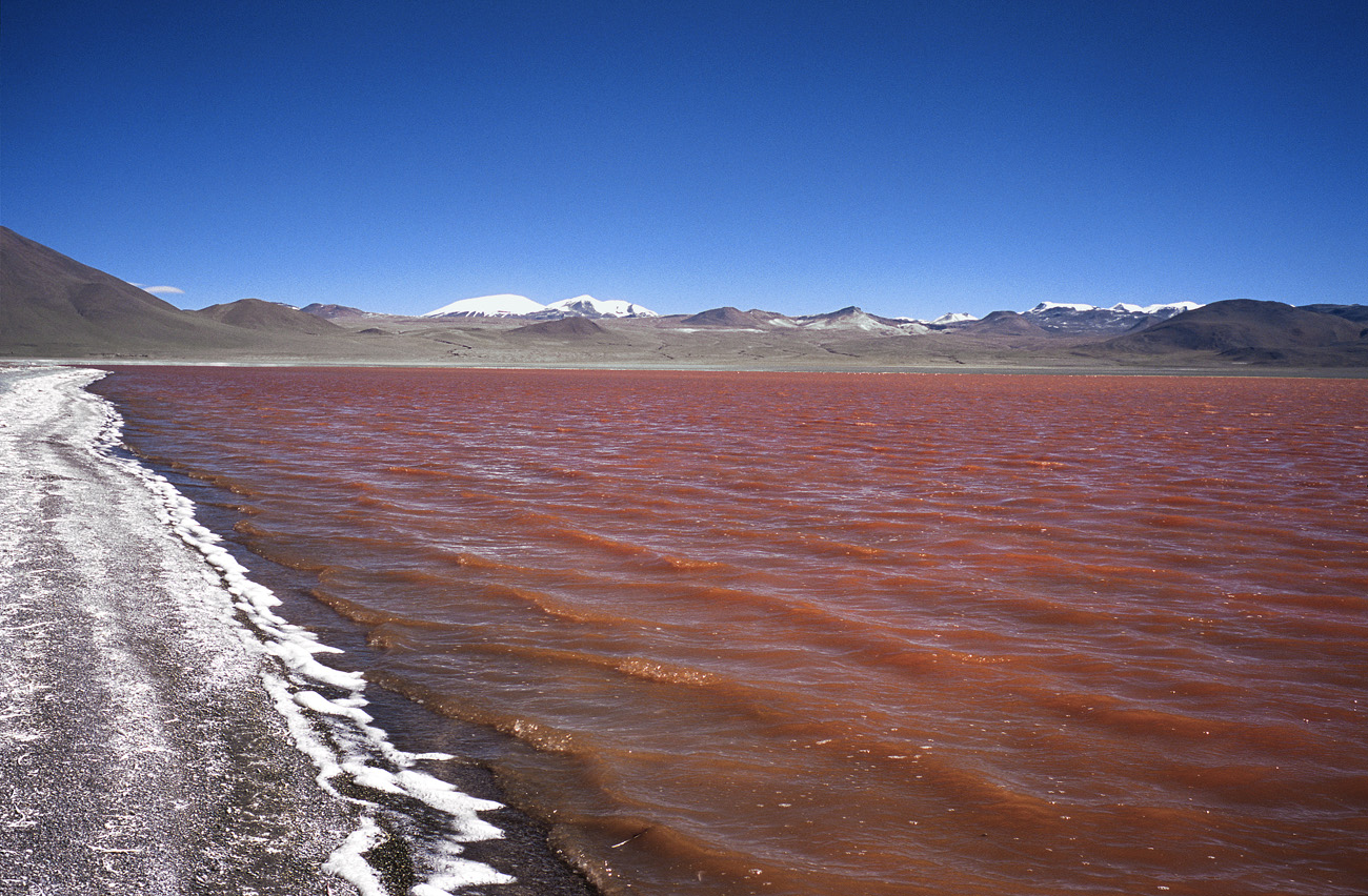 chi_6_18 colorada.jpg - Sud Lipez - lagunes laguna Colorada dépôt de borax sur les berges et couleur vineuse due à des algues microscopiques